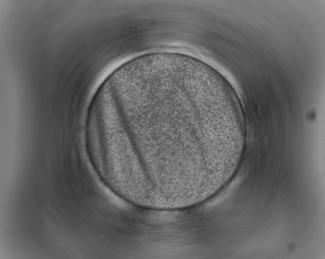 X0000101111533200807241124