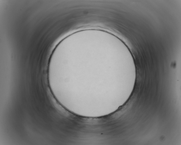 X0000101111534200807241124