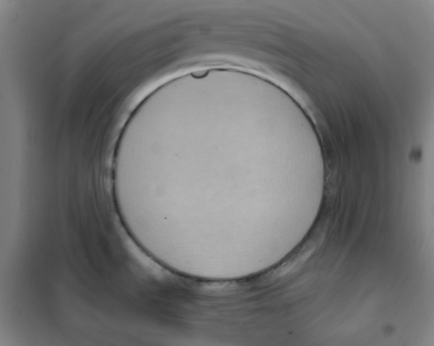 X0000101111535200807241124