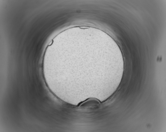 X0000101111536200807241124