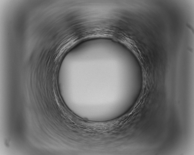 X0000101120001200806261056