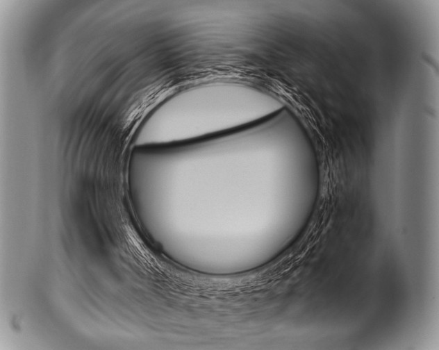 X0000101120002200806261056