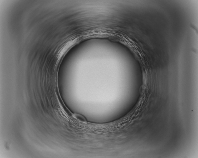 X0000101120003200806261056