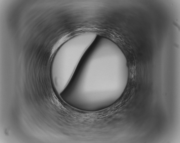 X0000101120004200806261056