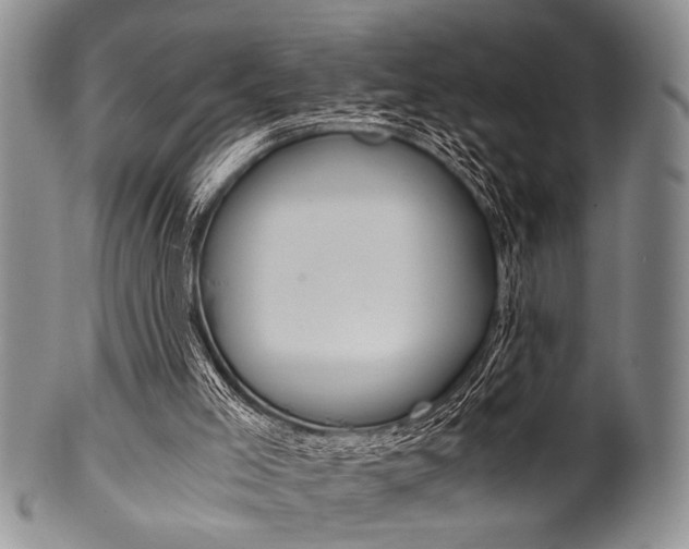 X0000101120005200806261056