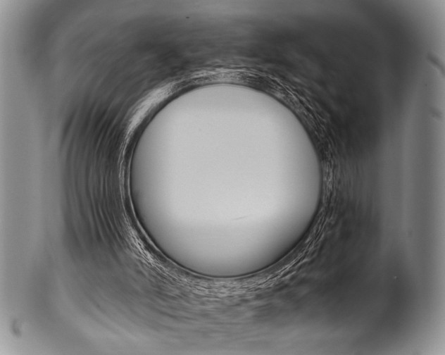 X0000101120006200806261056