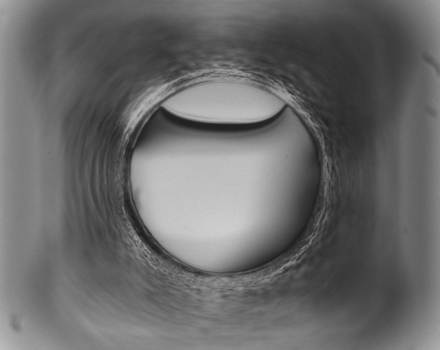 X0000101120007200806261056