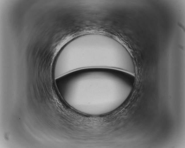 X0000101120008200806261056