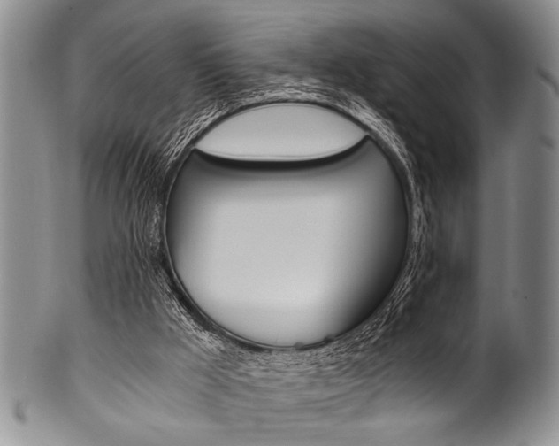 X0000101120009200806261056