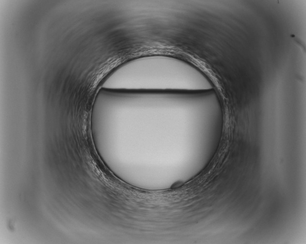 X0000101120010200806261056