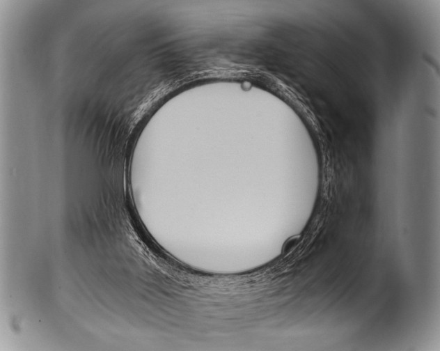 X0000101120011200806261056