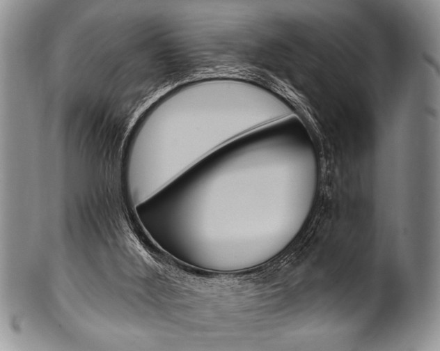 X0000101120012200806261056