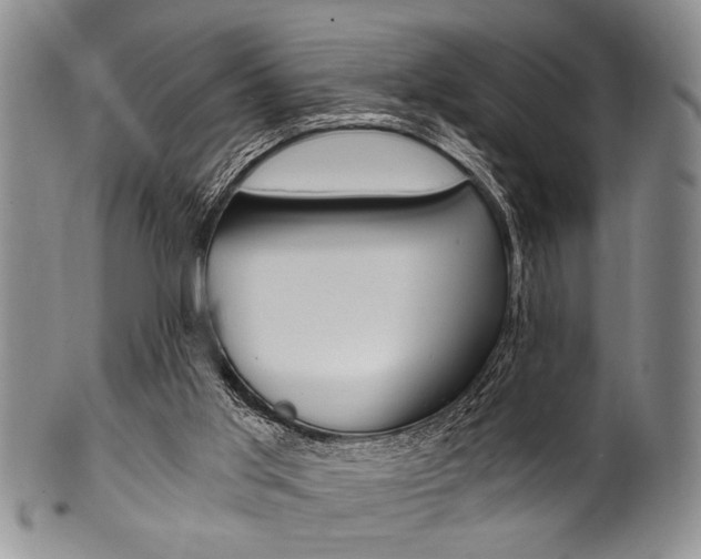 X0000101120013200806261056