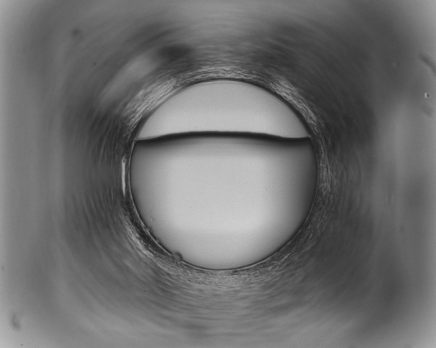 X0000101120014200806261056
