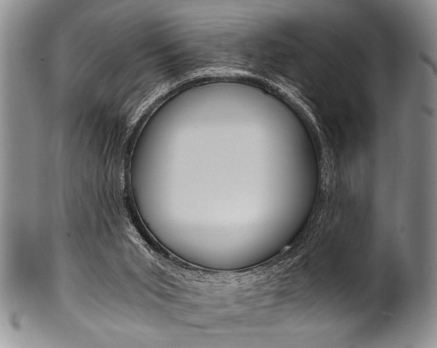 X0000101120015200806261056