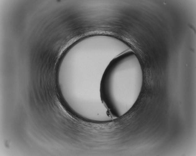 X0000101120016200806261056