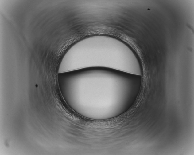 X0000101120017200806261056