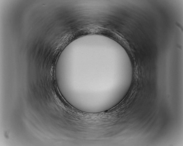 X0000101120018200806261056
