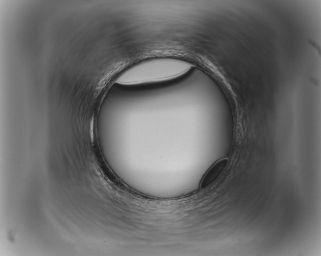 X0000101120019200806261056
