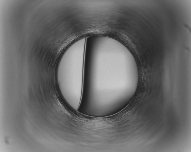 X0000101120020200806261056