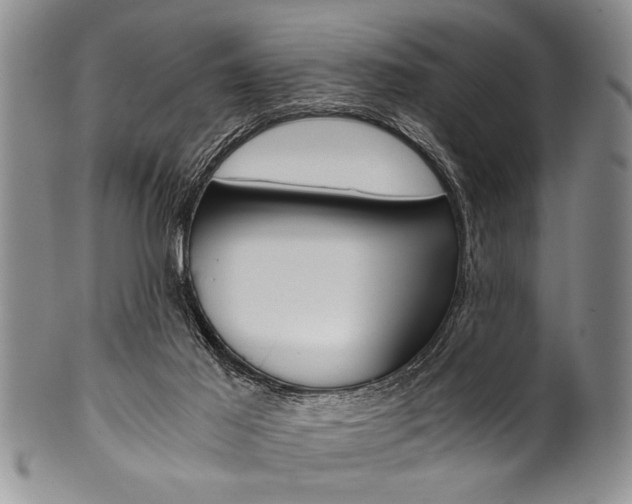 X0000101120021200806261056