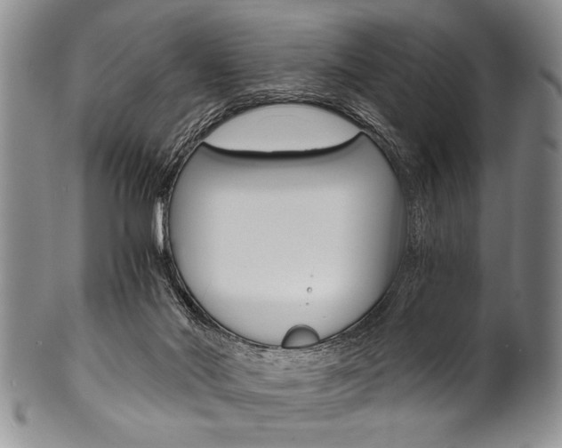 X0000101120022200806261056