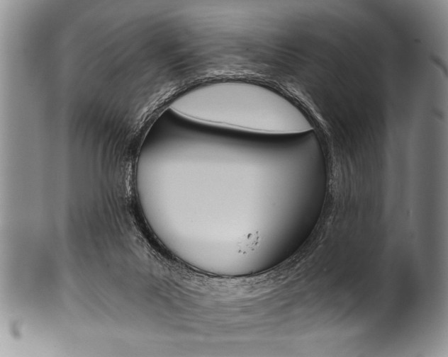 X0000101120023200806261056