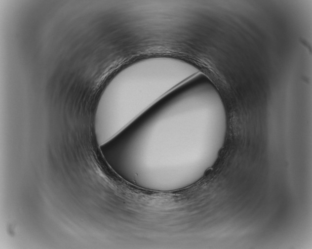 X0000101120024200806261056