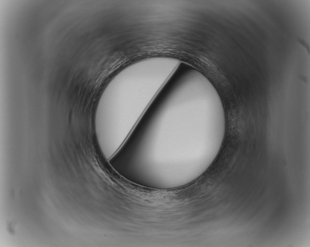 X0000101120028200806261056