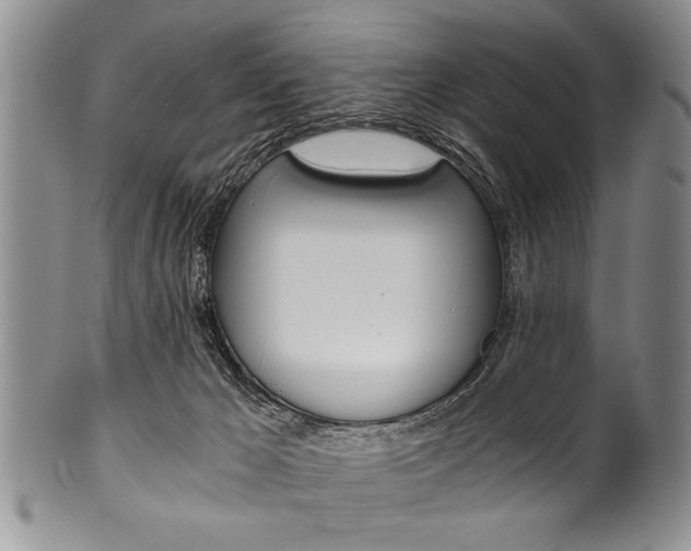 X0000101120029200806261056
