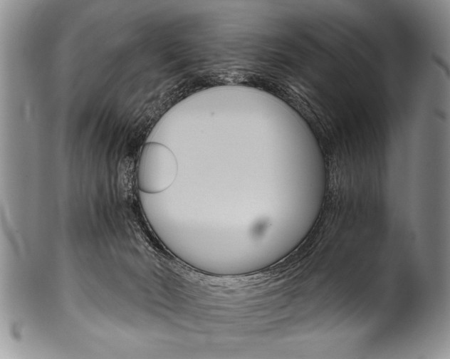 X0000101120030200806261056