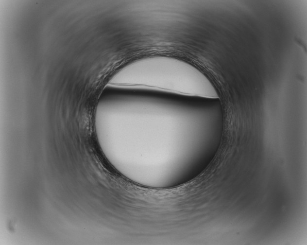 X0000101120031200806261056