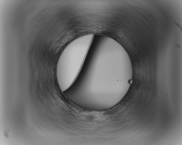 X0000101120032200806261056