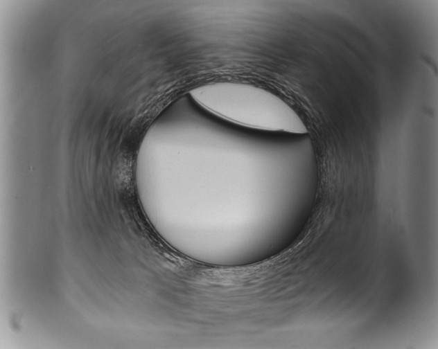 X0000101120033200806261056