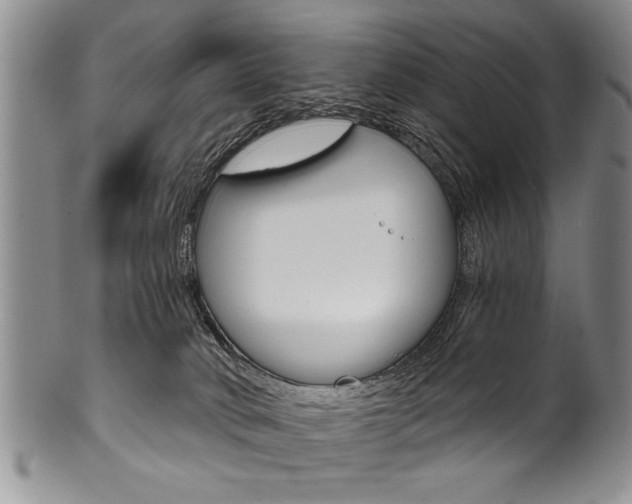 X0000101120034200806261056