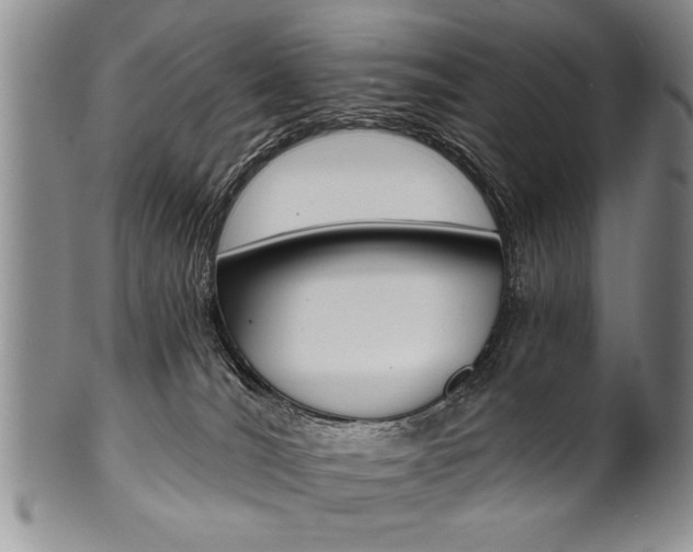 X0000101120036200806261056