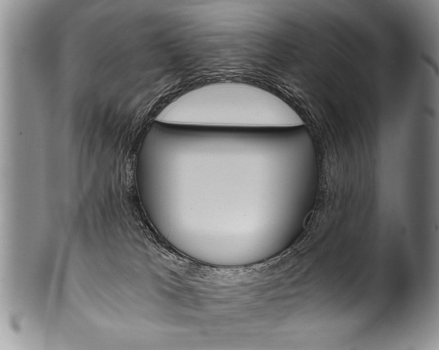 X0000101120037200806261056