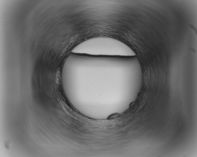 X0000101120038200806261056