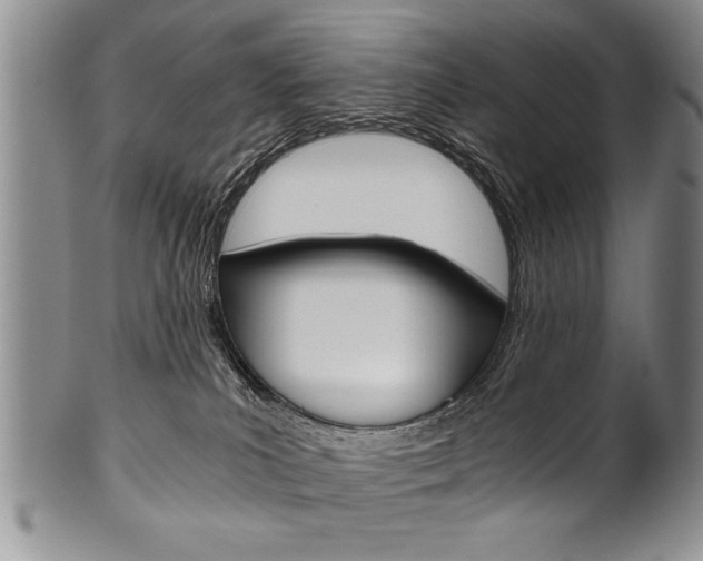 X0000101120039200806261056