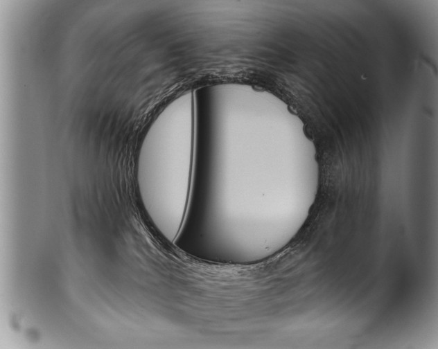 X0000101120040200806261056