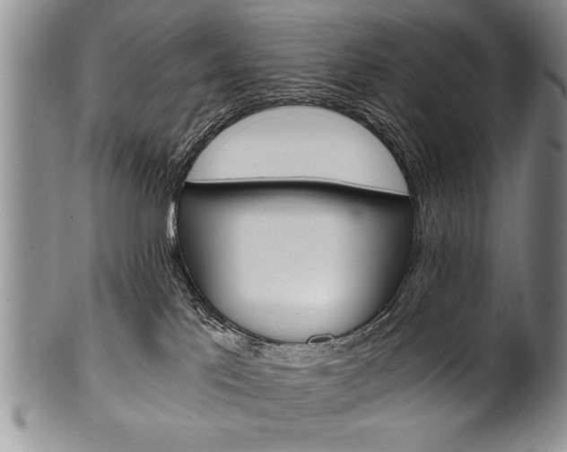 X0000101120041200806261056