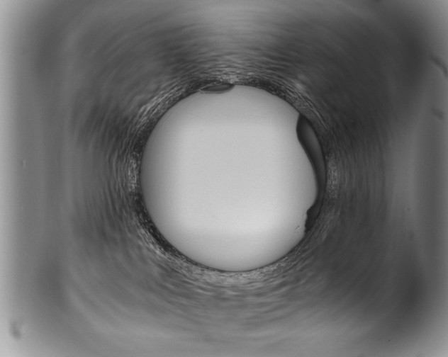 X0000101120043200806261056