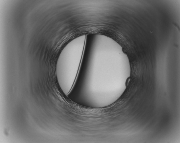 X0000101120044200806261056