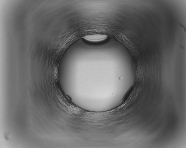 X0000101120045200806261056