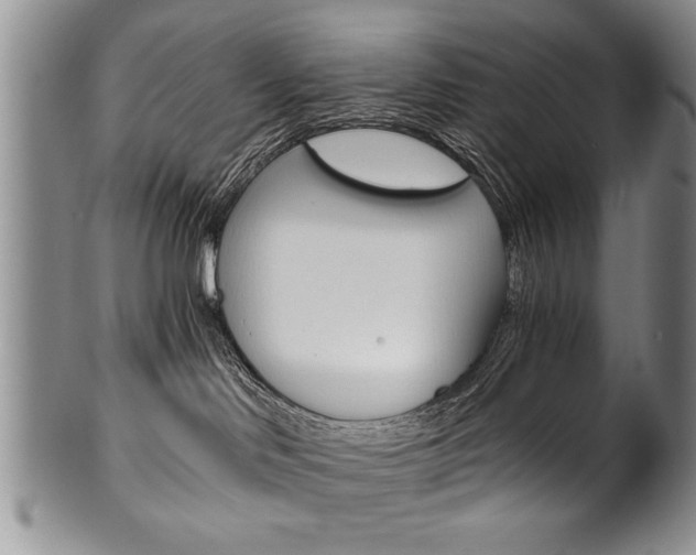 X0000101120046200806261056