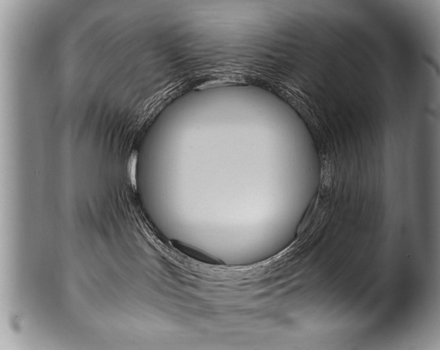 X0000101120047200806261056