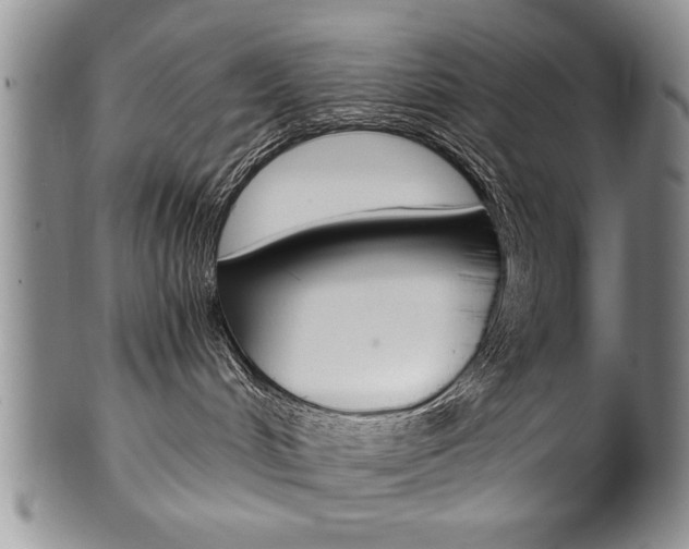 X0000101120048200806261056