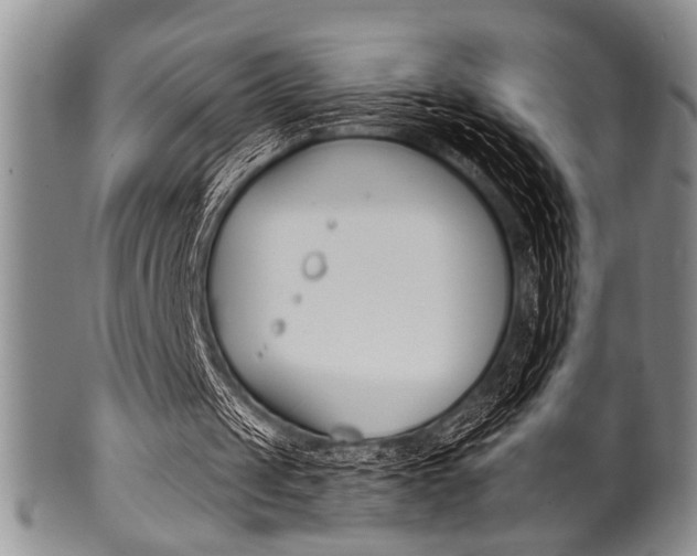 X0000101120049200806261055