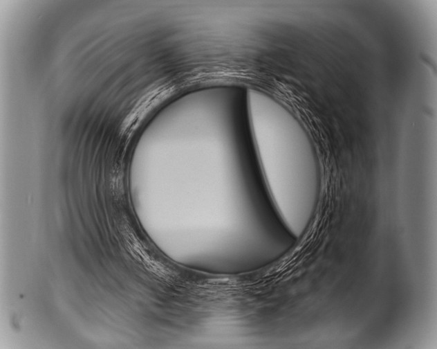 X0000101120050200806261055