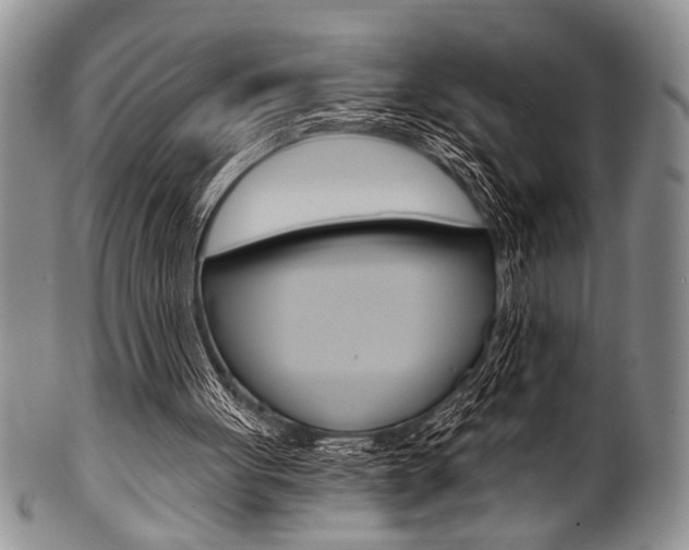 X0000101120051200806261055